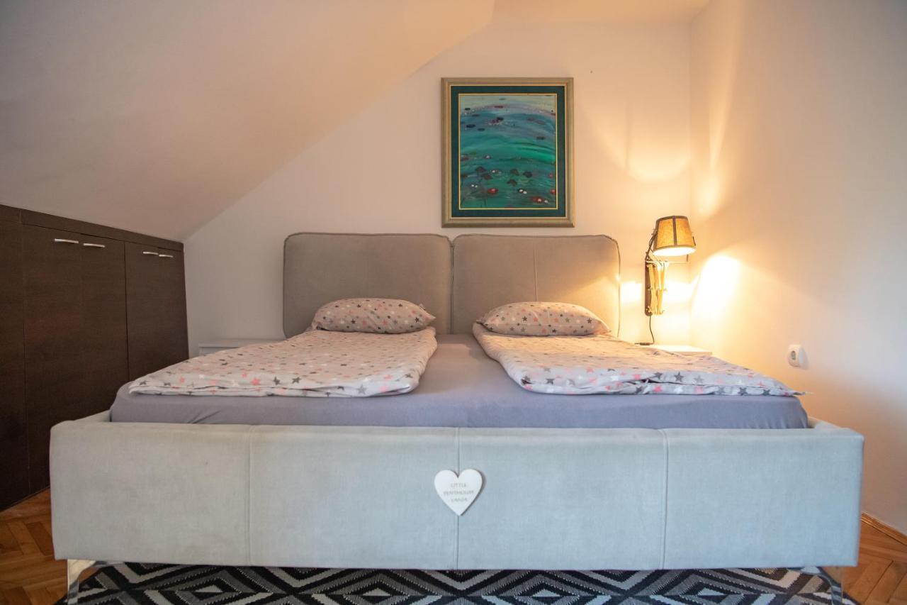 Marina Penthouse Daire Novi Sad Dış mekan fotoğraf