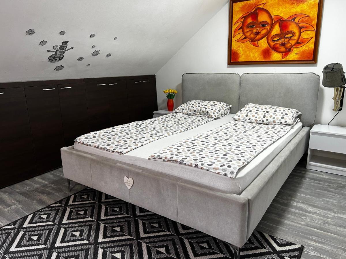 Marina Penthouse Daire Novi Sad Dış mekan fotoğraf