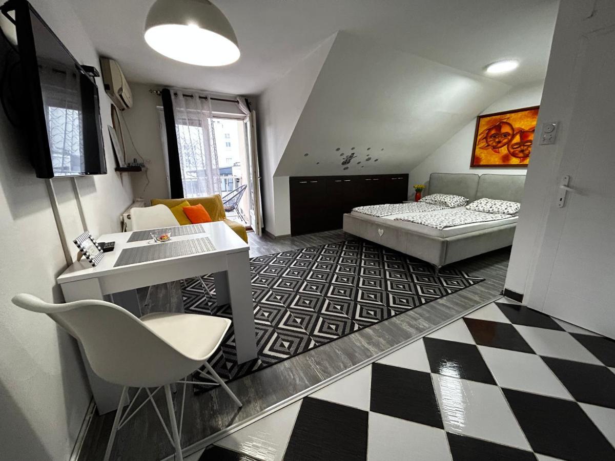 Marina Penthouse Daire Novi Sad Dış mekan fotoğraf